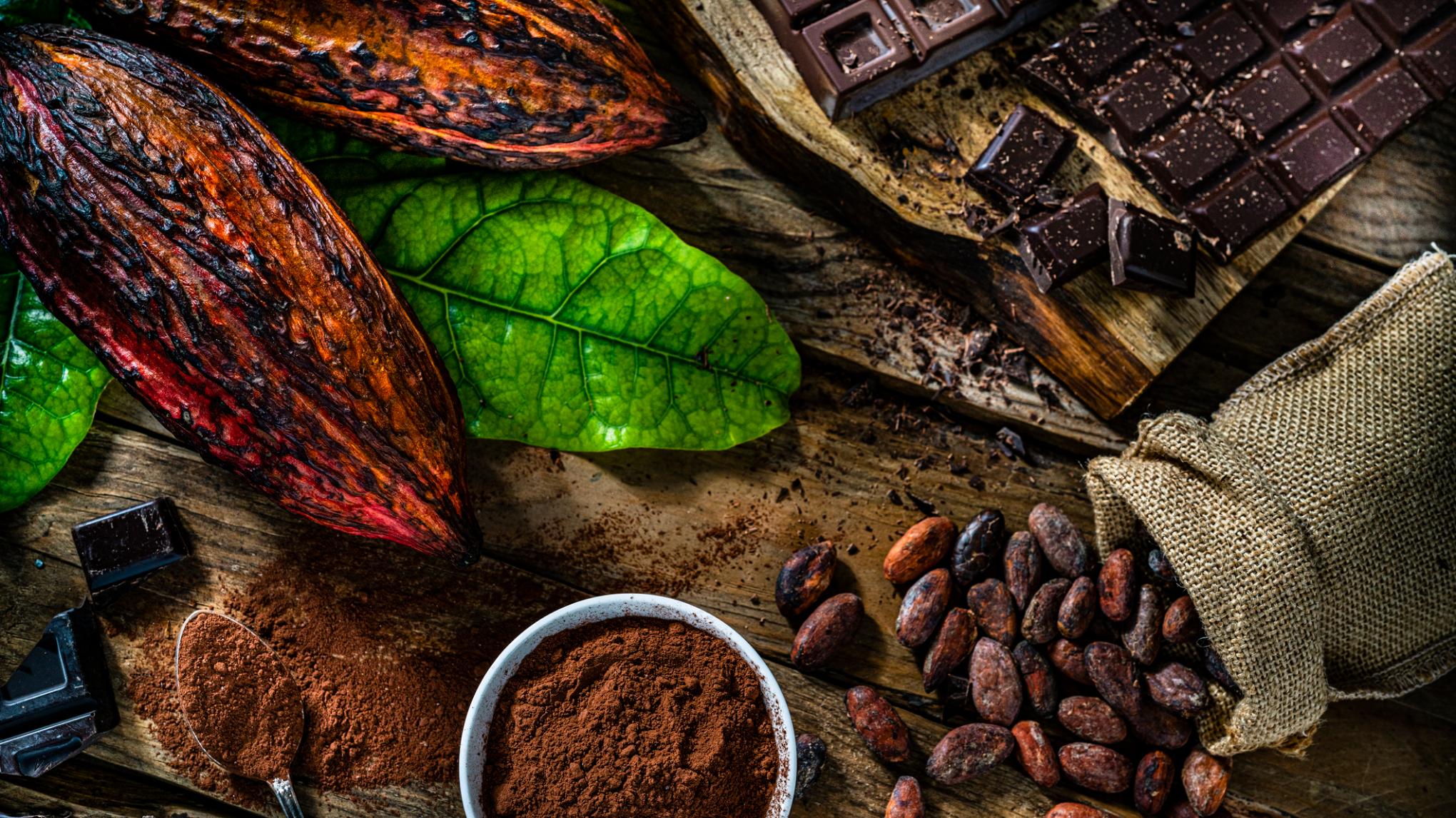 Cacao ceremonie