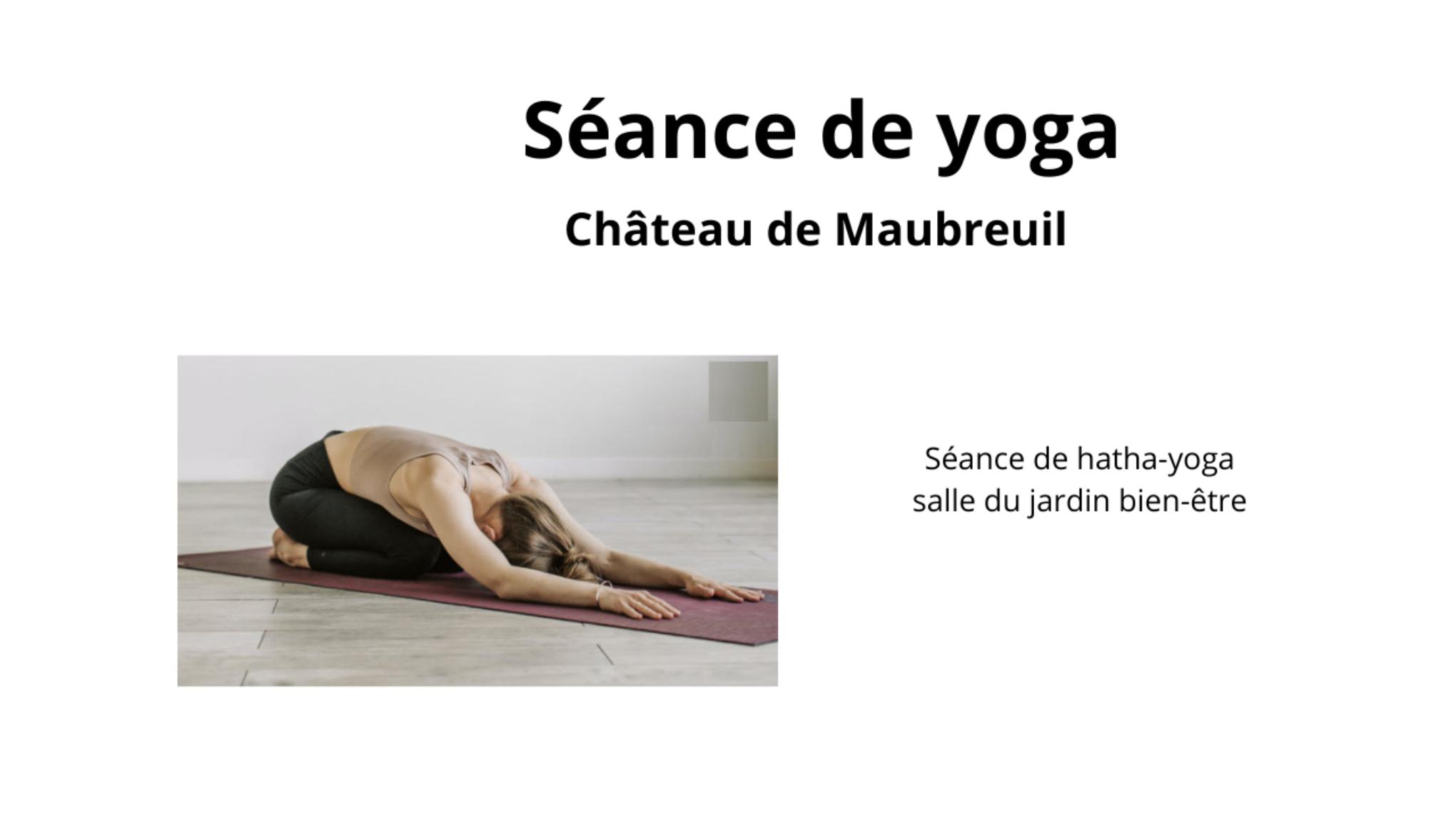 Yoga au Château de Maubreuil