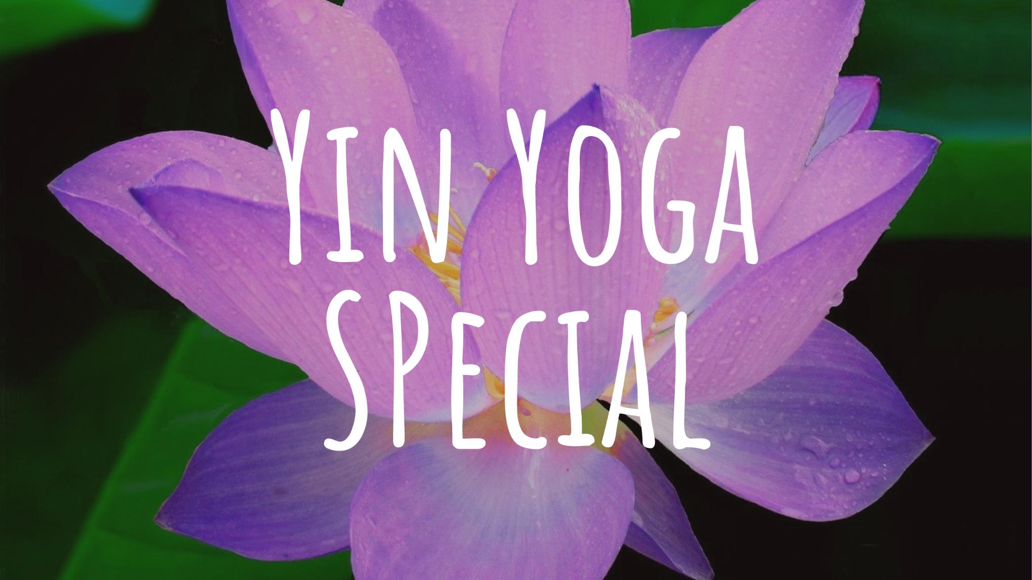 Yin Yoga Special mit Franzi