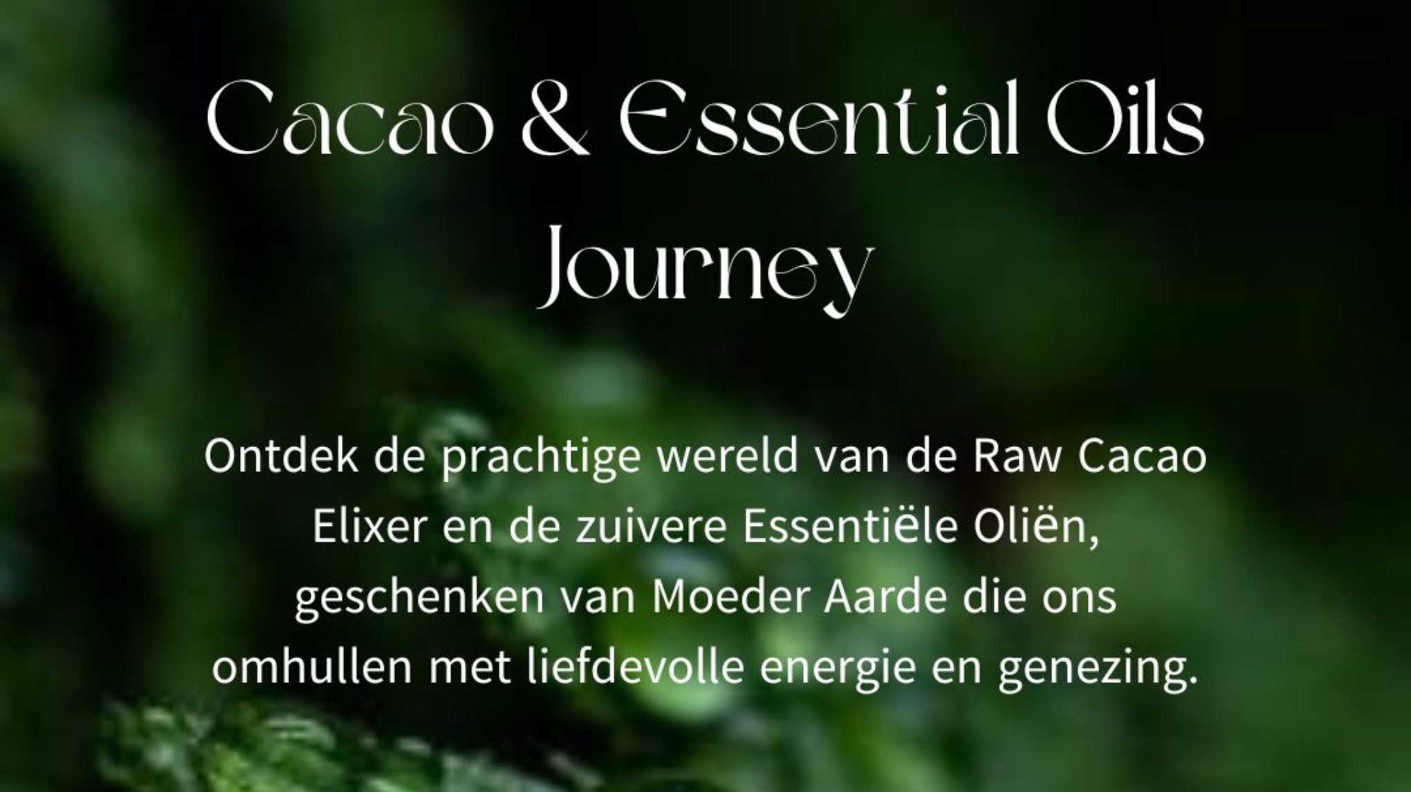 🌿 Cacao & Essentiële Oliën Journey
